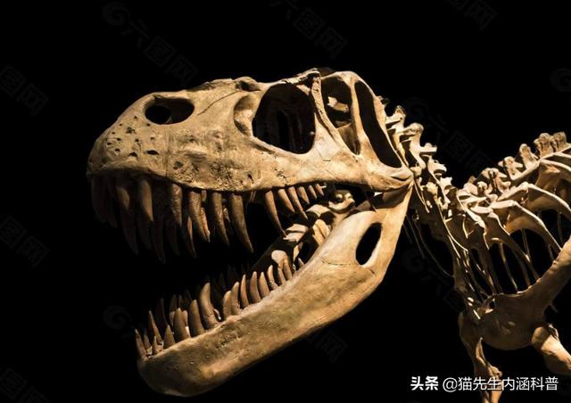 三眼恐龙虾:恐龙之说可信吗当时不是也有其它动物吗怎么没有化石