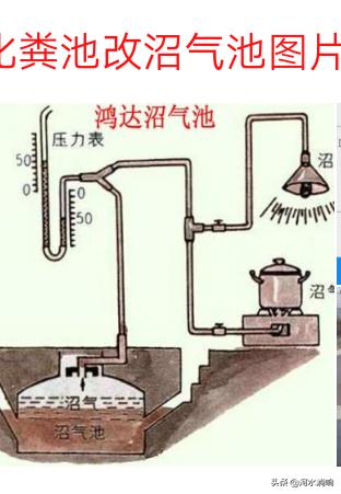 养猪疾病百科:养猪场氨气的危害可诱发多种疾病吗？该如何有效解决呢？