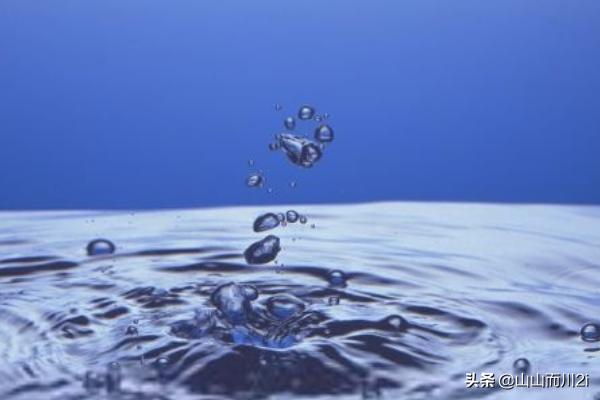 虎皮鹦鹉怎么养:虎皮鹦鹉怎么养粘人 你们有过哪些养虎皮鹦鹉的经验？