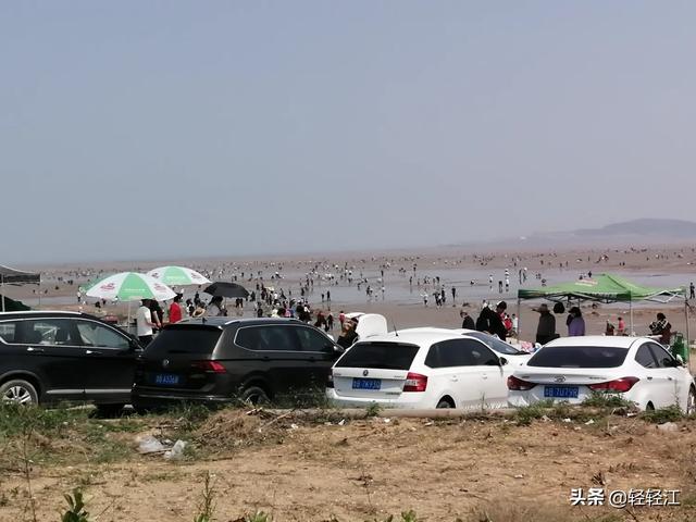 青岛海鱼都有哪些品种图片:青岛美食，鲅鱼与鲐鲅鱼之争，到底该如何区分呢？