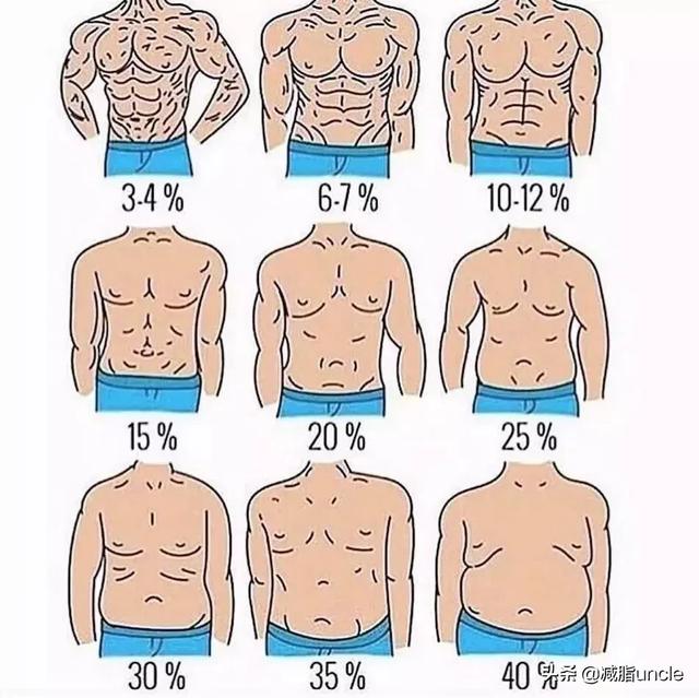 头条问答 - 怎么样刷出明显腹肌?(23个回答)