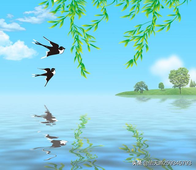 少女与白狗:有没有与动物和睦相处的故事分享呢？