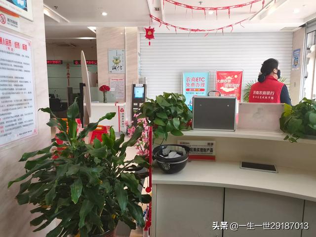 两种好听的八哥鸟叫声:真正的八哥鸟叫声大全 八哥鸟可家养吗？需要注意什么？