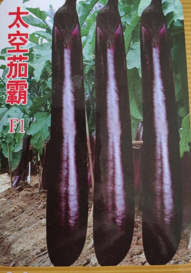神舟九号发射:祝贺神舟十二成功发射！但为什么每次都要带种子上去？