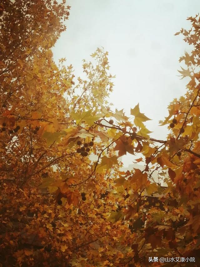 我国比较有名的风雨古桥有哪些？