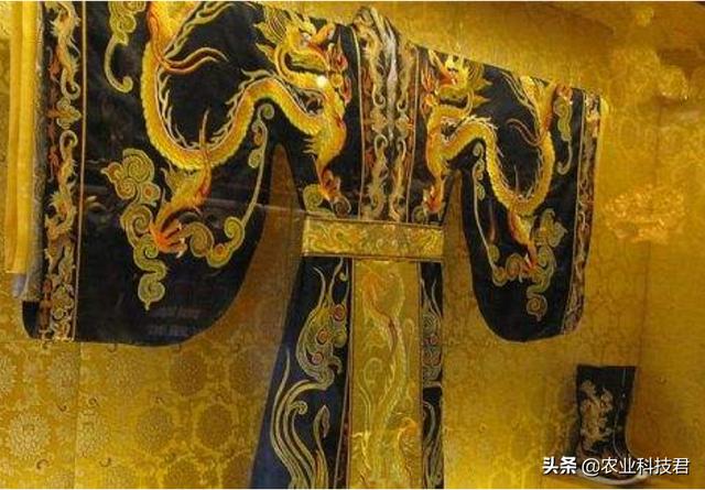 gucci狗年波士顿梗犬刺绣25:请说出你知道的一些奢侈品品牌？