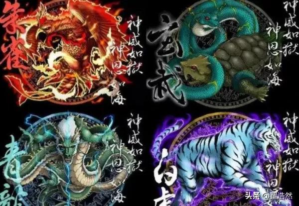 四大神兽四大神兽是现代人对青龙,白虎,朱雀,玄武的叫法,实际并非神兽