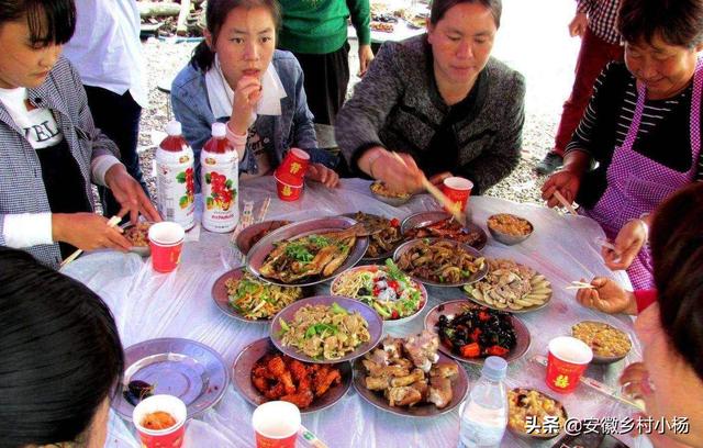 禾仕嘉宠物食品:4岁小孩不爱好好吃饭，大家觉得该怎么办？谢谢大家？ 禾仕嘉宠物店
