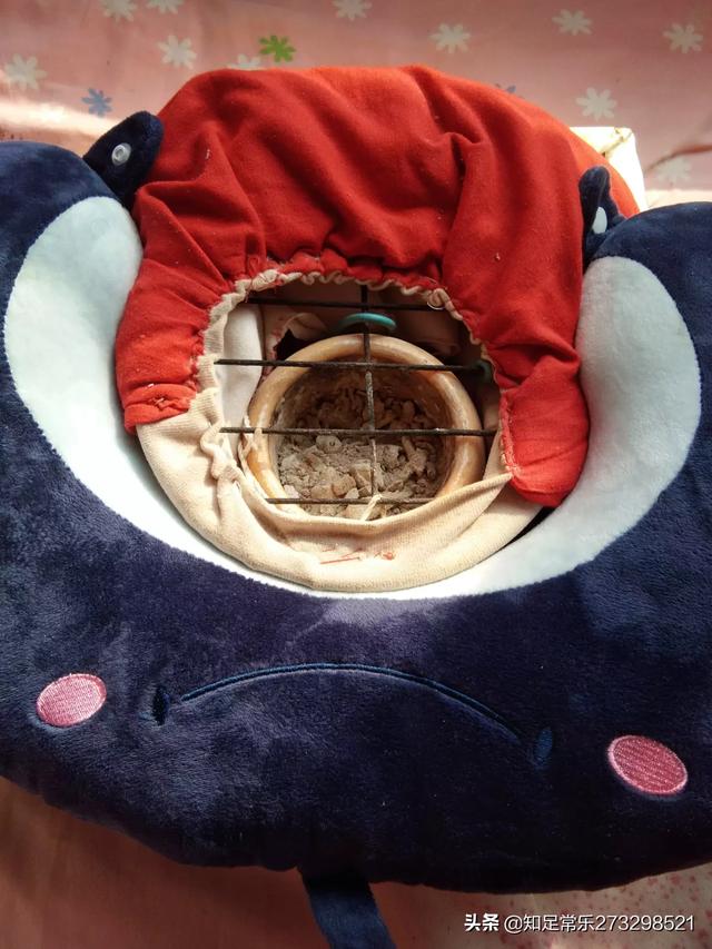 乳腺肿瘤门诊病历:20岁女孩怎么会有乳腺肿瘤？有哪些原因造成？