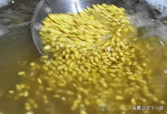 植物必需的营养元素:化肥中的氮、磷、钾对植物分别有什么作用？