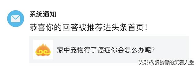 宠物的秘密生活2关于谁:家中宠物得了癌症你会怎么办呢？ 宠物的秘密生活2