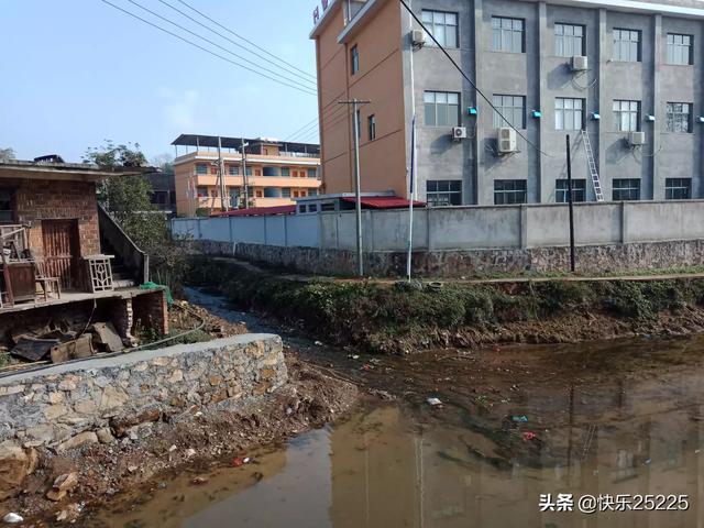 永州宠物狗交易网:在湖南农村住习惯了，还打算回老家吗？