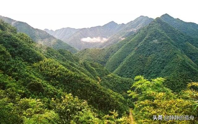 翠青蛇和竹叶青图片:翠青蛇和竹叶青有毒吗 鄂西北山区，有哪些蛇类，农民该怎么区分毒蛇？