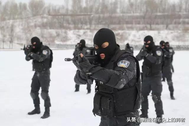 武警、特警和特种部队有什么区别？什么情况出动武警、特警和特种部队？插图1