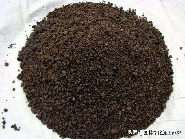 观叶植物营养液花之侣:绿萝黄叶有什么好的营养液吗？