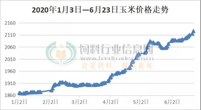 现在养殖行业挣钱吗，为什么农村养牛的越来越少了，养牛不赚钱吗