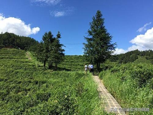 中国有飞地吗，上海市有多少块“飞地”为什么