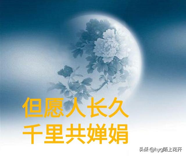 如果终身美丽要换来永远寂寞，你愿意当嫦娥么？