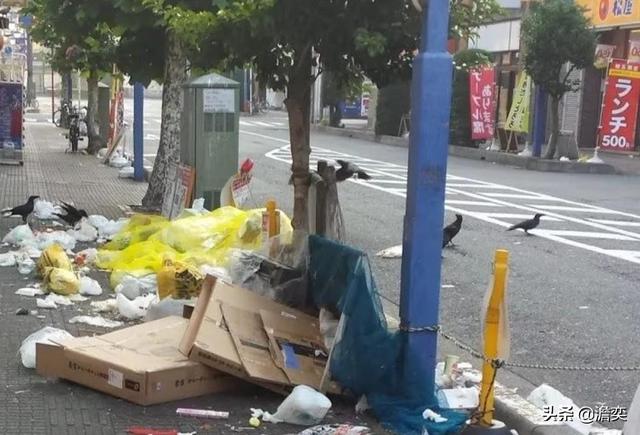 日本飞鼠照片:日本是一个怎么样的国家，有什么事是到了日本才知道的？