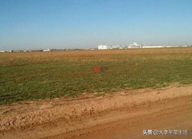 美国堪萨斯:为什么美国堪萨斯狗肉节没被取消？