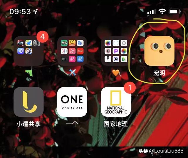 宠物说app:宠物app中“宠明”如何？