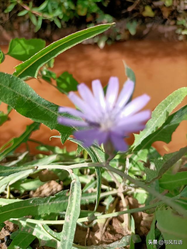 袁天罡的相面之术口诀,奇人袁天罡，此人真实性有多少？