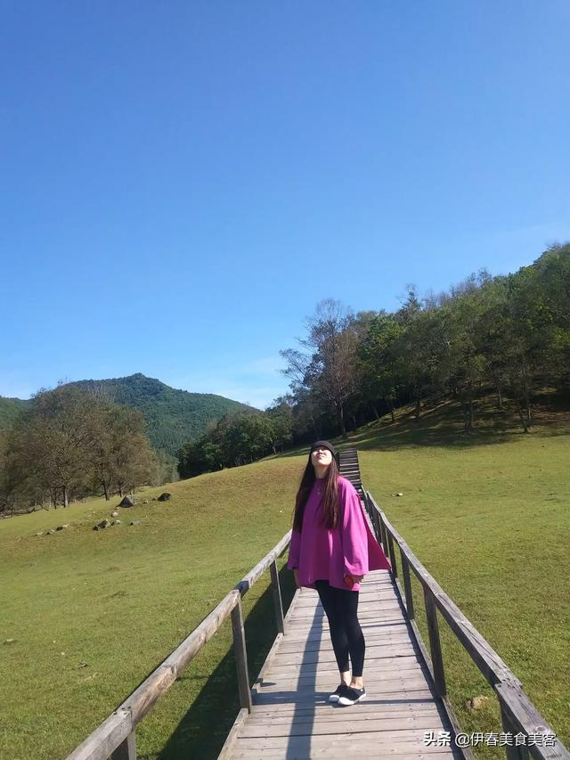 气质高贵的白冠噪鹛:什么年龄段的女人是最有味道的？