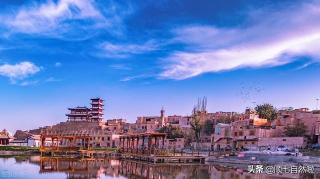 福州市鼓楼区伽菲猫咖啡酒吧:在国内，你最向往的旅游目的地是哪三个城市？为什么？