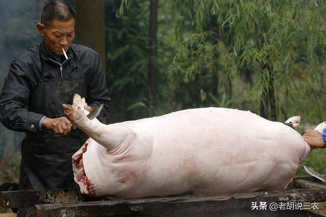 头条问答 - 农村老俗话说"木匠不做齐头料,屠夫不杀五爪猪"是什么意思