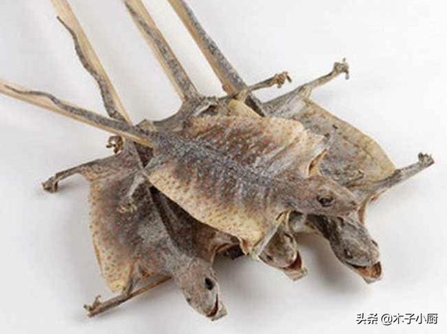 红鬣蜥图片:制作卤水时为什么要加蛤蚧？有哪些作用？