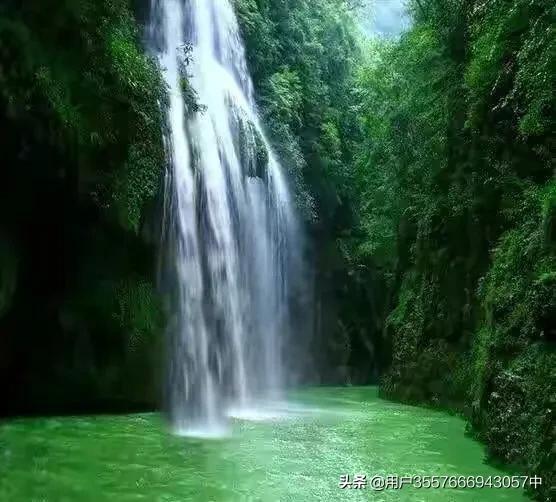 孔子为什么杀少正卯？