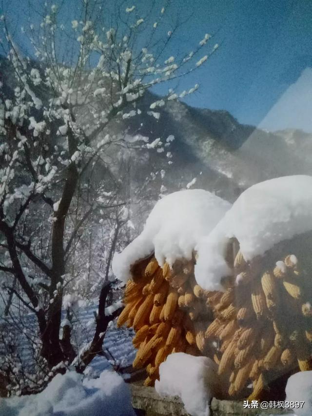 没钱的时候少在家里,没有钱的时候，你做什么会感觉最幸福？