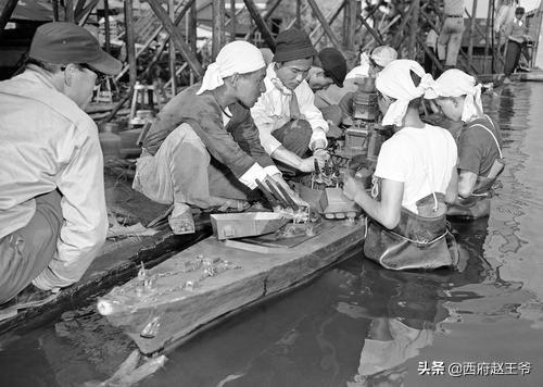 日本截尾猫什么价格:为什么日本作为发达国家，日元却这么不值钱呢？ 日本截尾猫多少钱一只