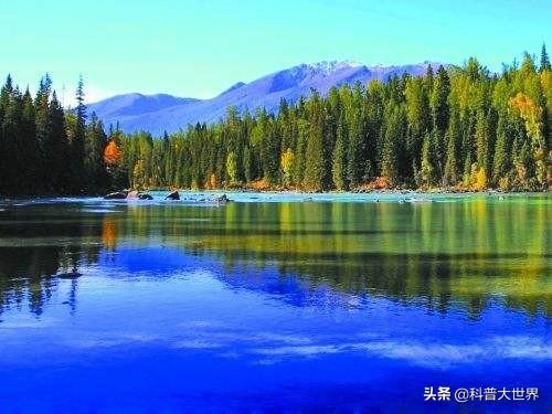 大型哲罗鲑:新疆喀纳斯湖面积不大，但是水量不少，而且有水怪出没，是这样吗