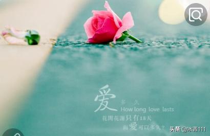微信爱情网名简单又好听:lol新手，有什么英雄好看又适合新手玩的