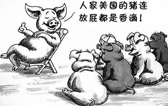 香蕉人是什么意思:到底什么是公知？哪些人被称为公知？