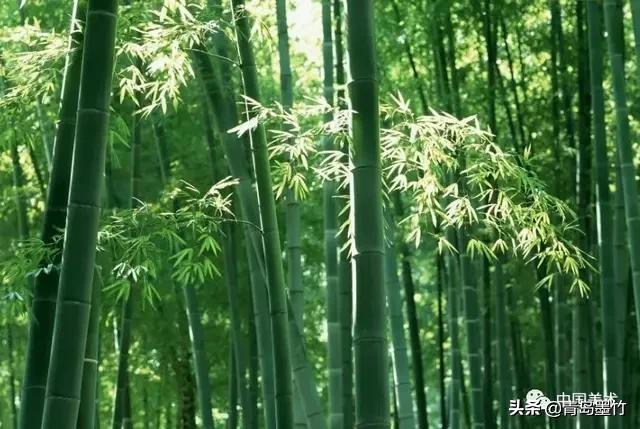 小蝴蝶花阅读及答案:小蝴蝶花阅读及答案三年级 4月份适合种什么花（阳台盆栽）？