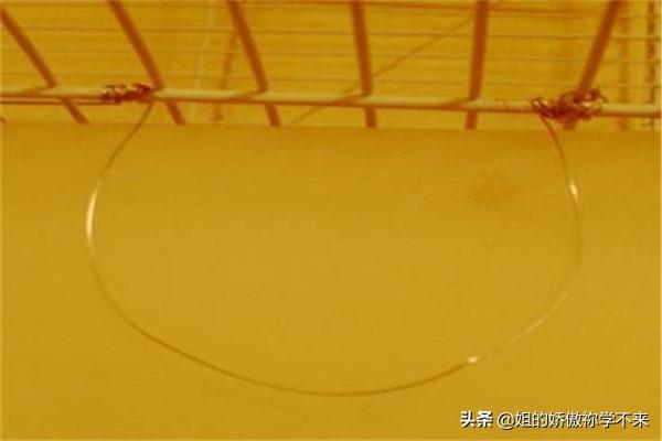 兔用碗式饮水器:怎样让兔用饮水器不漏水？