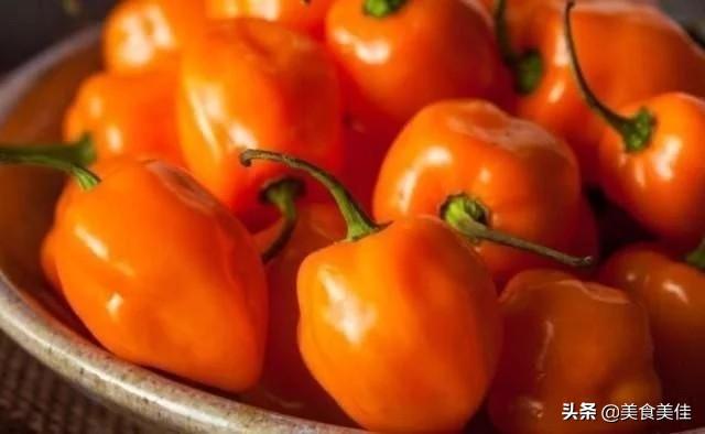 虎皮青椒是哪里的菜(虎皮青椒酿肉是哪里的菜)