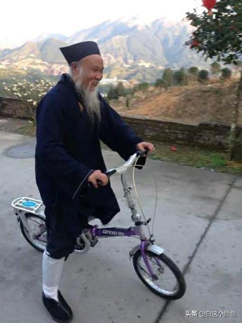 挖掘机挖出巨蛇:在打山挖路会挖出巨蟒吗？