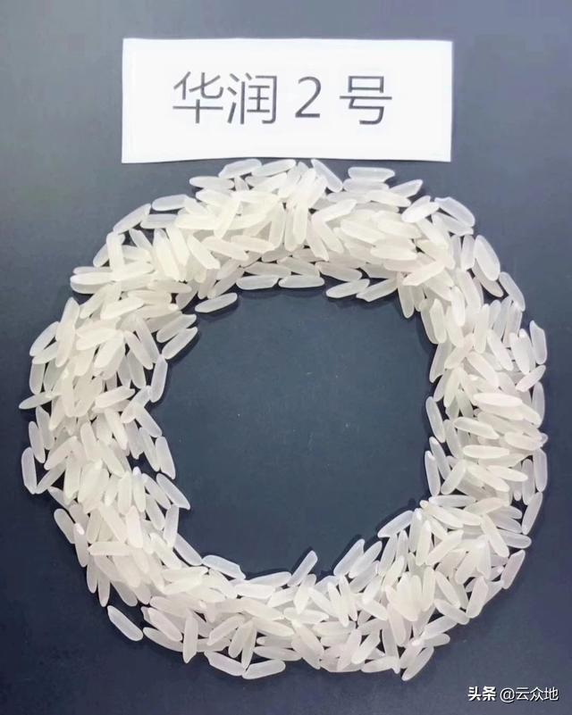 杨奇清:湖南省平江县走出去的名人有哪些？