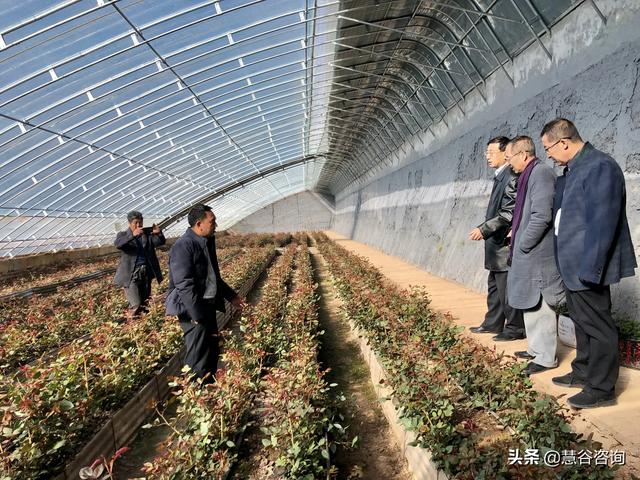 国家一号文件振兴乡村，作为农村人做什么，才能抓住国家这波红利？-第5张图片-9158手机教程网