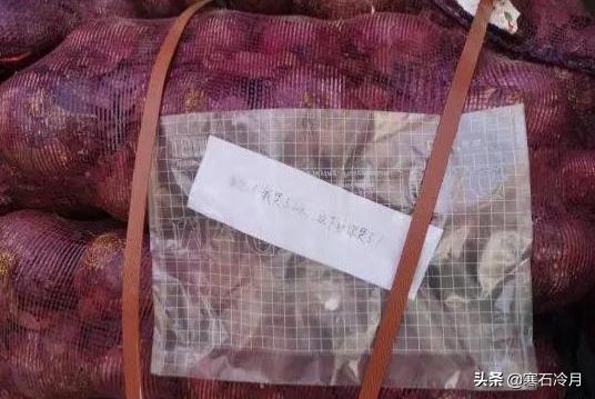 洋葱阿信:女子买一吨洋葱送前男友，声称：我哭够了，该你了，怎么回事？