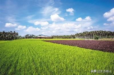 boqi波骑 军鞋:bv男板鞋 山西省文水县古代有哪些英雄人物？