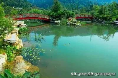苏轼的诗词:你最喜欢苏轼的哪句诗词？