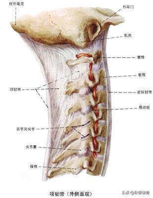 颈神经根炎的症状与治疗:颈椎椎间盘突出C3C4C5压迫神经根及硬膜囊是什么症状？