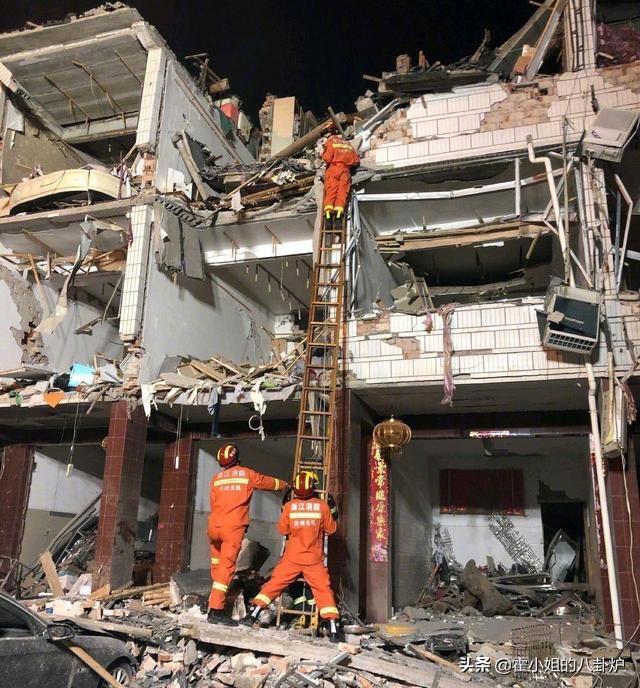 地震搜救犬全部处死搜救:藏獒能灭老虎和狼，为什么没有列为国家保护动物？