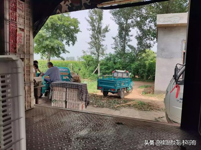 做水果批发的利润有多大？