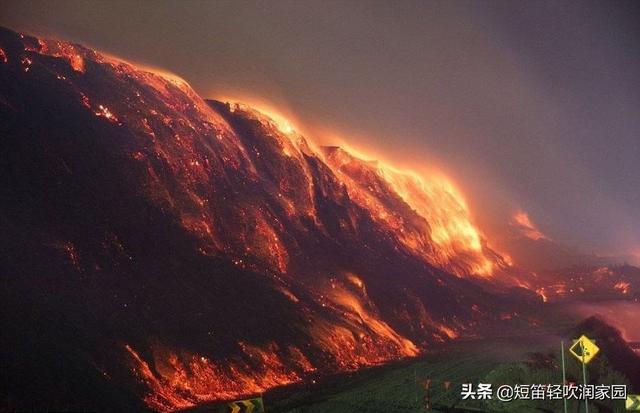 澳大利亚山火这么大，死了这么多动物，会不会暴发瘟疫？