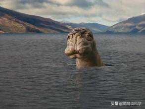 喀纳斯水怪:通过最近的三峡水怪事件是不是可以认定其他“水怪”也是虚无的？